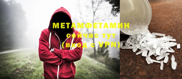 ГАЛЛЮЦИНОГЕННЫЕ ГРИБЫ Аркадак