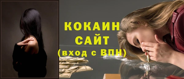 ГАЛЛЮЦИНОГЕННЫЕ ГРИБЫ Аркадак