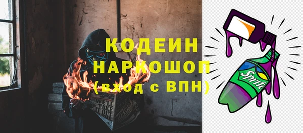 ГАЛЛЮЦИНОГЕННЫЕ ГРИБЫ Аркадак