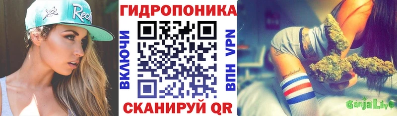 купить наркотик  Пучеж  Шишки марихуана Amnesia 